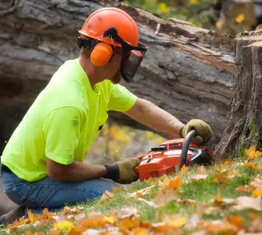 tree services South Browning